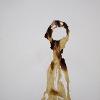 Untitled I (2013); Sweet potatoe on fabriano.