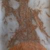 Title: Freedom (2008); Size: 100cm X 70cm; Medium: Collagraphy print on fabriano; (15) (SOLD OUT)